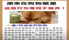 三角洲寻血猎犬被反制（有没有更具体的反制寻血猎犬方法？）