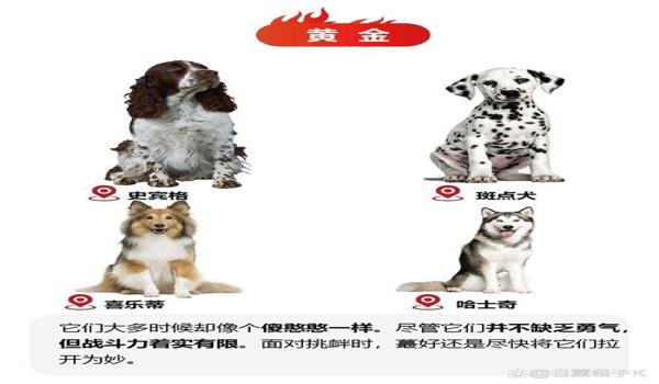 三角洲寻血猎犬优缺点（寻血猎犬在三角洲行动中厉害吗？）