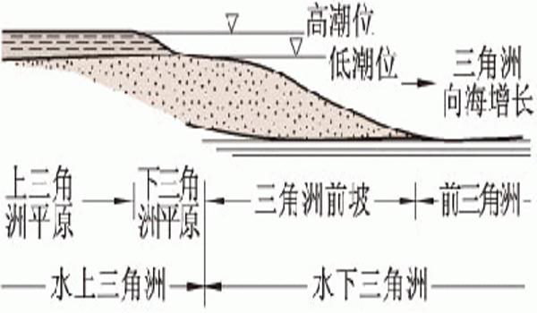 三角洲百科（三角洲百科大全详细介绍）